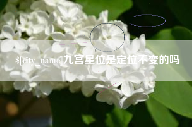 普洱九宫星位是定位不变的吗