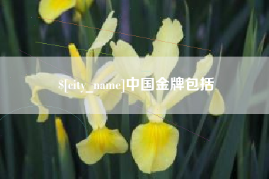 普洱中国金牌包括