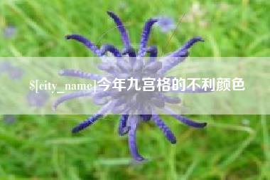 普洱今年九宫格的不利颜色