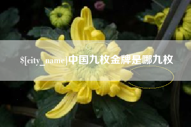 普洱中国九枚金牌是哪九枚