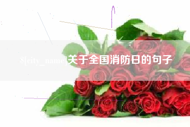 普洱关于全国消防日的句子