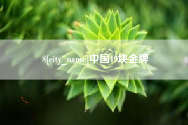 普洱中国19块金牌