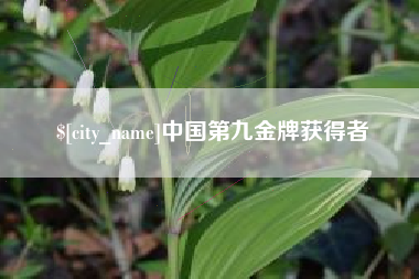 普洱中国第九金牌获得者