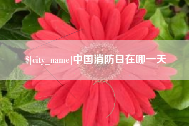 普洱中国消防日在哪一天