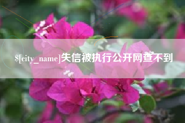 普洱失信被执行公开网查不到