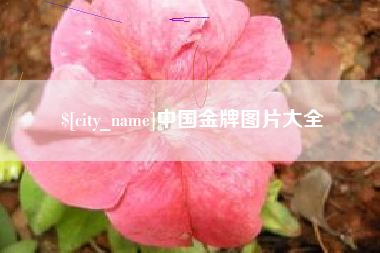 普洱中国金牌图片大全