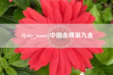普洱中国金牌第九金