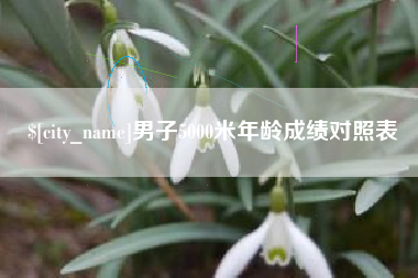 普洱男子5000米年龄成绩对照表