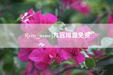 普洱九宫排盘免费