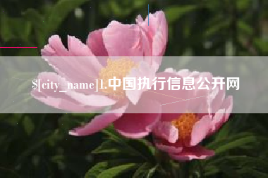 普洱1.中国执行信息公开网