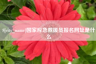 普洱国家应急救援员报名网址是什么