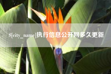 普洱执行信息公开网多久更新