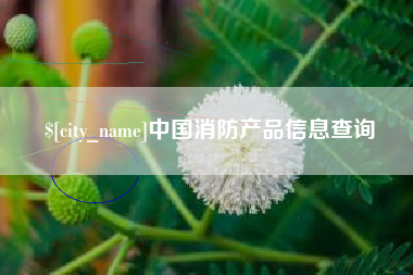 普洱中国消防产品信息查询