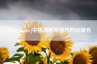 普洱中国消防网官方网站域名