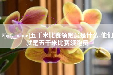 普洱五千米比赛领跑员是什么-他们就是五千米比赛领跑员