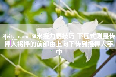 普洱60米接力赛技巧-下压式则是传棒人将棒的前部由上向下传到接棒人手中