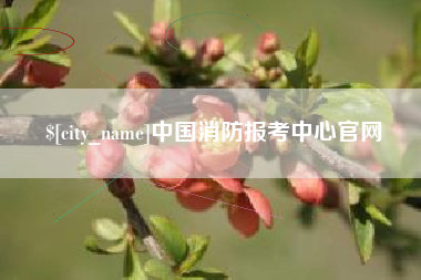普洱中国消防报考中心官网