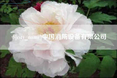 普洱中国消防设备有限公司
