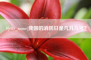 普洱我国的消防日是几月几号？