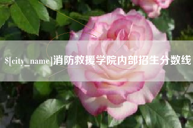 普洱消防救援学院内部招生分数线