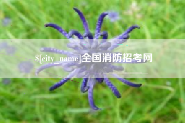 普洱全国消防招考网