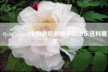 普洱中国消防救援学院山东选科要求
