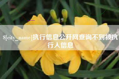 普洱执行信息公开网查询不到被执行人信息