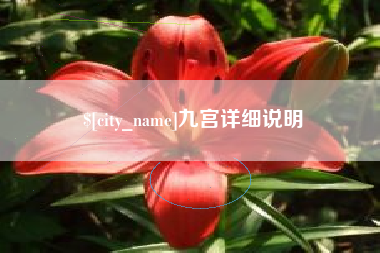 普洱九宫详细说明