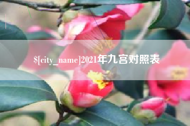 普洱2021年九宫对照表