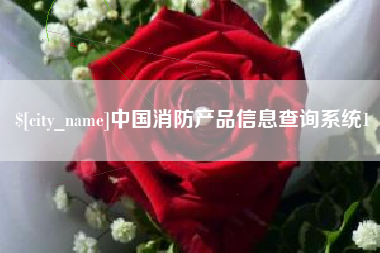 普洱中国消防产品信息查询系统1