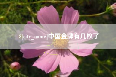 普洱中国金牌有几枚了