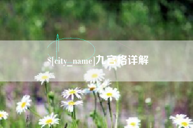 普洱九宫格详解