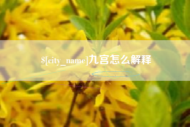 普洱九宫怎么解释