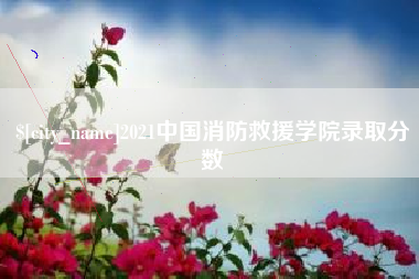 普洱2021中国消防救援学院录取分数
