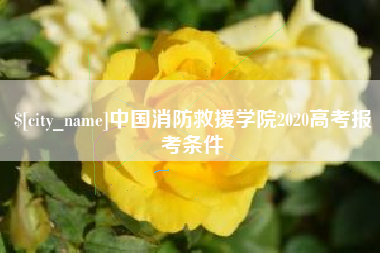 普洱中国消防救援学院2020高考报考条件