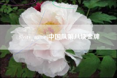 普洱中国队第八块金牌