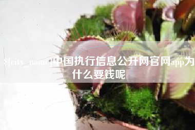 普洱中国执行信息公开网官网app为什么要钱呢