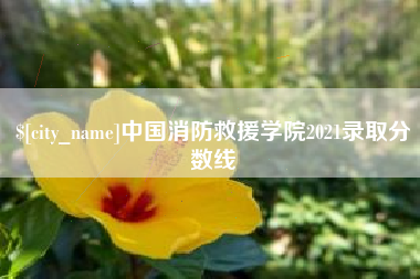 普洱中国消防救援学院2021录取分数线