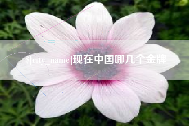 普洱现在中国哪几个金牌