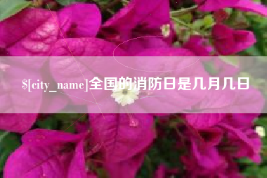 普洱全国的消防日是几月几日