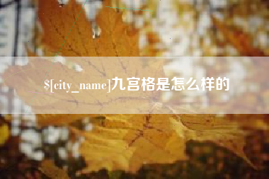 普洱九宫格是怎么样的