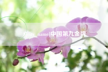 普洱中国第九金牌