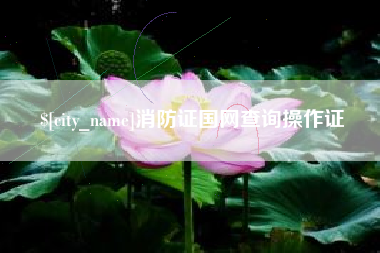 普洱消防证国网查询操作证