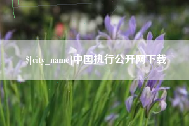 普洱中国执行公开网下载