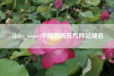 普洱中国消防官方网站域名