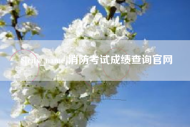 普洱消防考试成绩查询官网