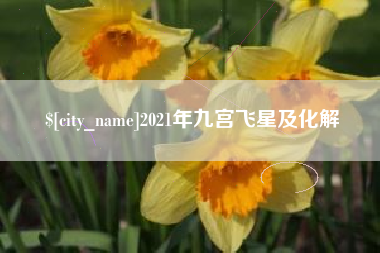 普洱2021年九宫飞星及化解