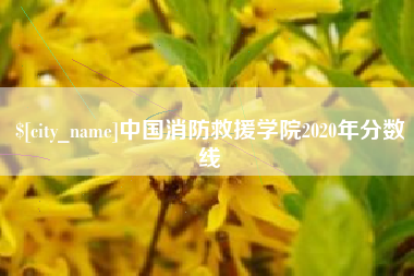 普洱中国消防救援学院2020年分数线