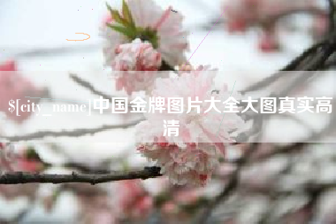 普洱中国金牌图片大全大图真实高清