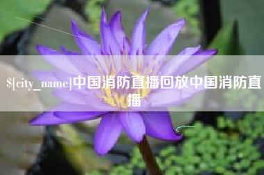 普洱中国消防直播回放中国消防直播